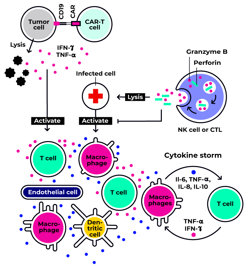 BIOMEX_immunogenicity_graphic-1-6